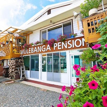 Osakae Anteo Mulraebang-A Pension Yangyang Buitenkant foto